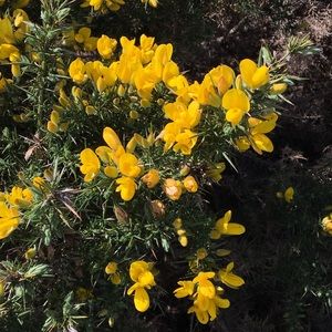 Meet your Posher, Jane